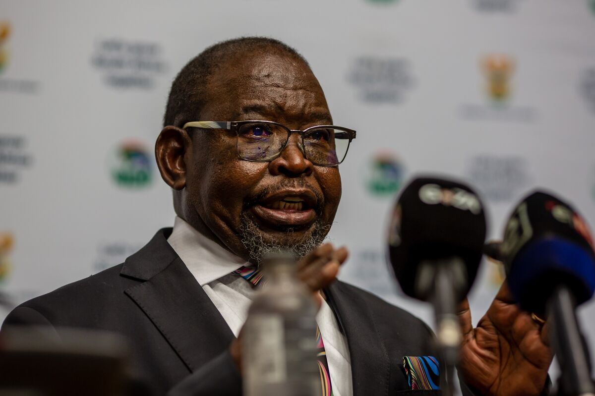 Africa Must Quell its Reliance on Outside Money, Godongwana Says
