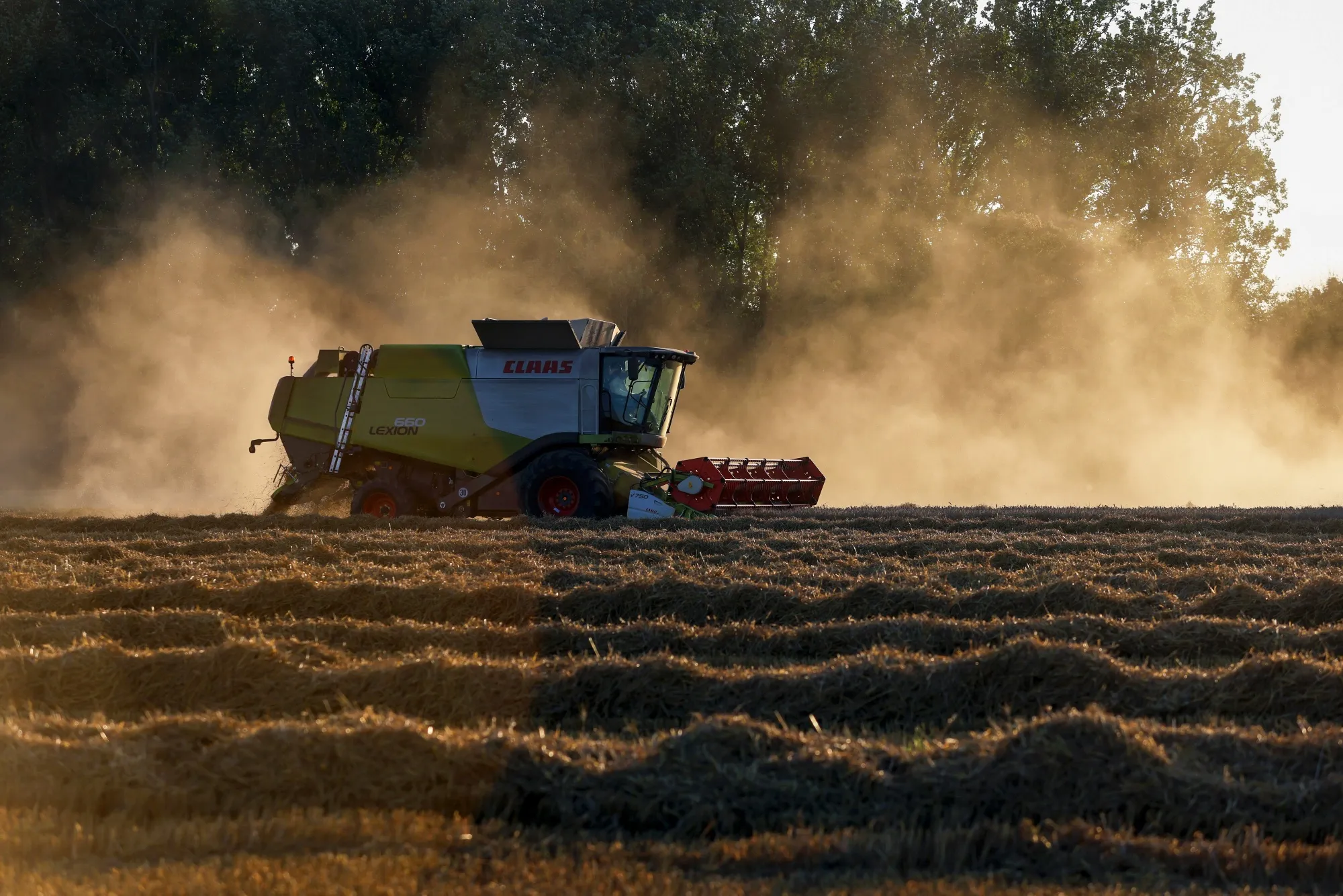 U.K. Wheat Harvest As Global Crop Prices Jump
