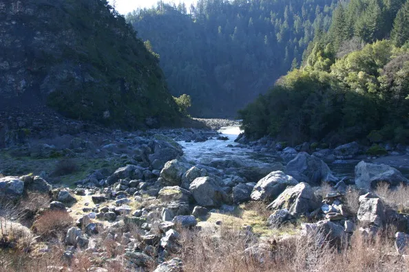 Look at how much water the environment wastes!

