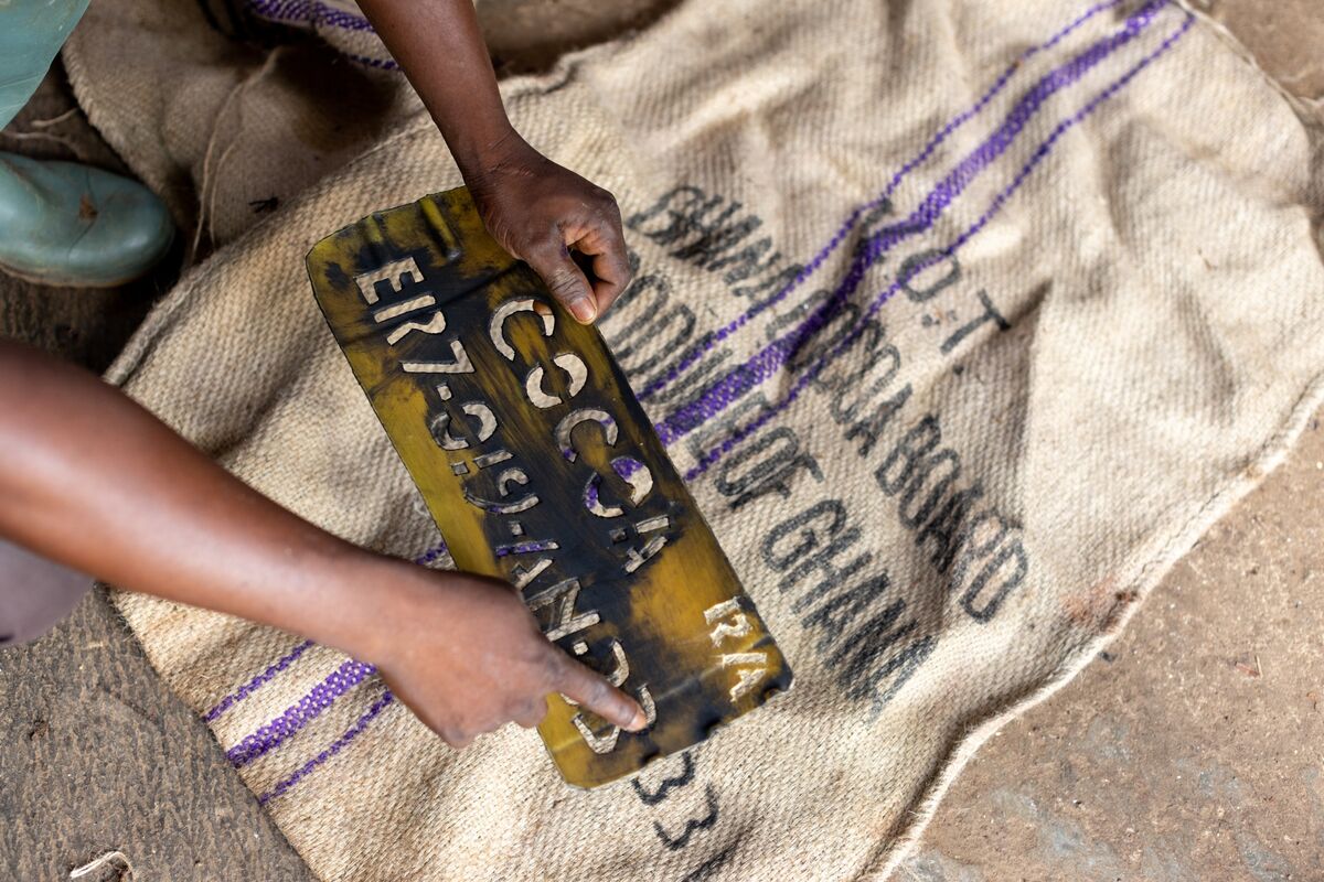 Ghana Weighs Domestic Cocoa Pricing Overhaul as Futures Plunge