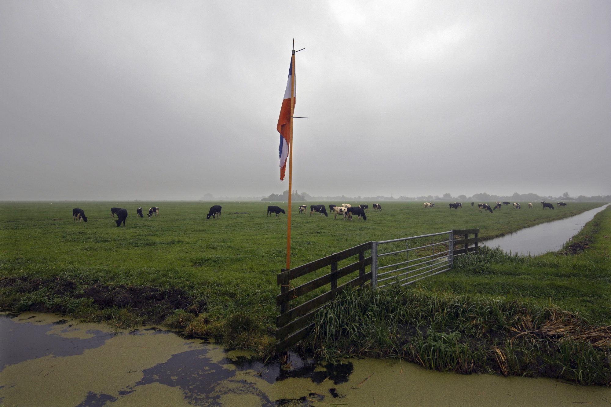 A Dutch flag flown upside down&nbsp;in protest against the government's nitrogen policy&nbsp;on a farm in Hazerswoude, Netherlands.