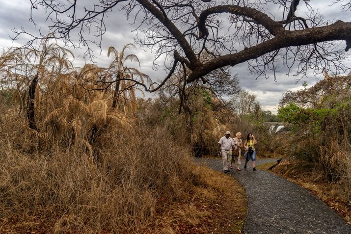 Defaulter Zimbabwe Mulls Debt-for-Nature to Revamp $21 Billion Arrears