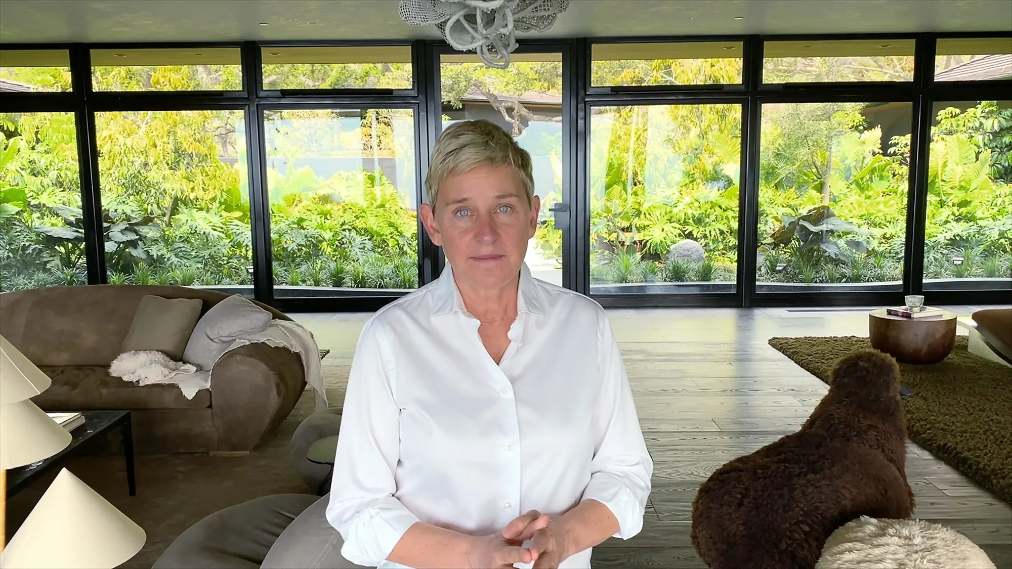 Ellen at home with some sheep to her right. 