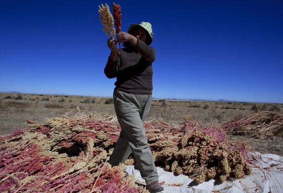 Health Food Staple Quinoa May Get Pricier as Peru Eyes China