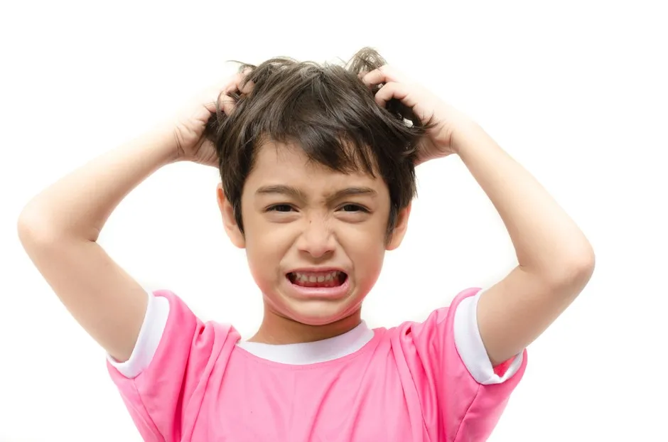 How to Win the War on Head Lice - Bloomberg