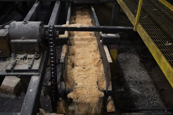 No One Was More Shocked by Lumber Mania Than Sawmill Operators