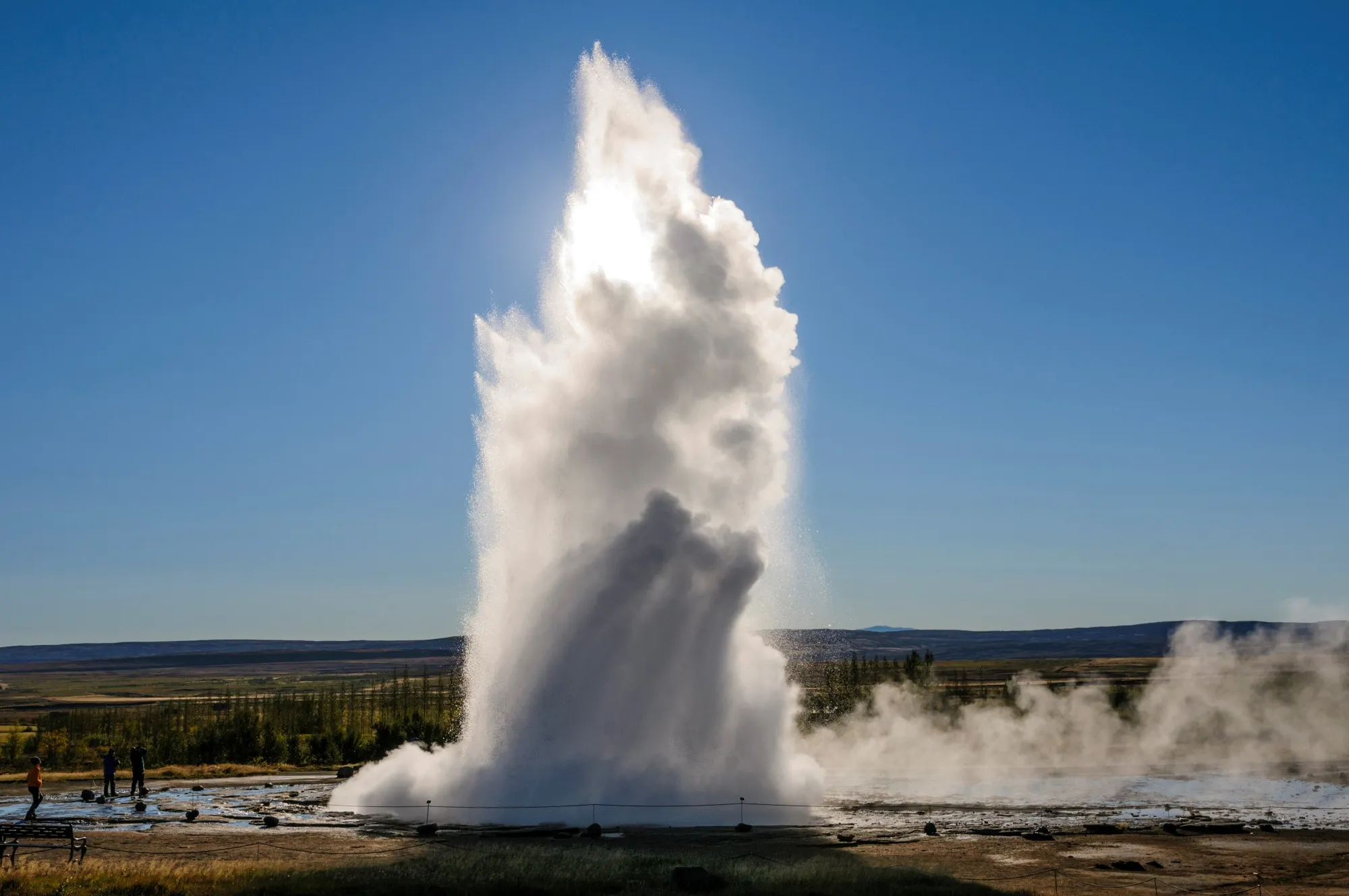 There she blows.