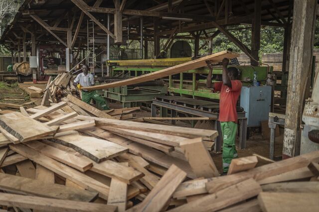 Men work at a processing plant managed by African Equatorial Hardwoods (AEH) in Mayumba on October 11, 2022.