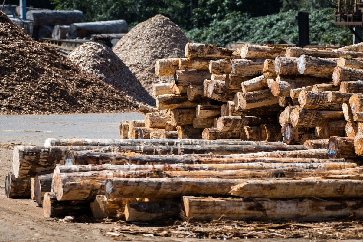 Ikea 2030 Forest Agenda Goes Beyond Billy Shelves Pushing Sustainable