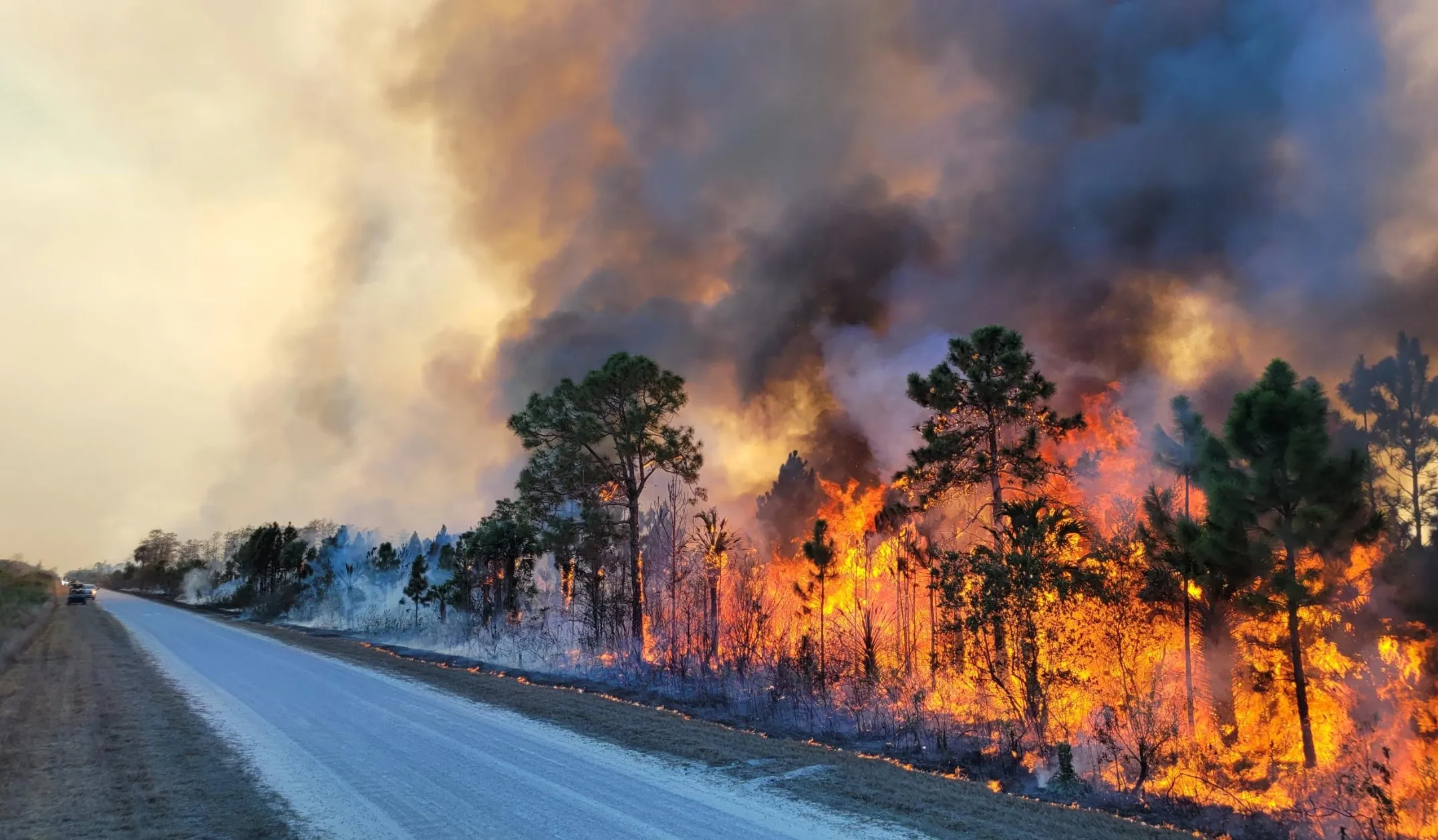 A fire burns along Turner River Road in Florida on February 24.