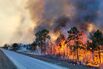 A fire burns along Turner River Road in Florida on February 24