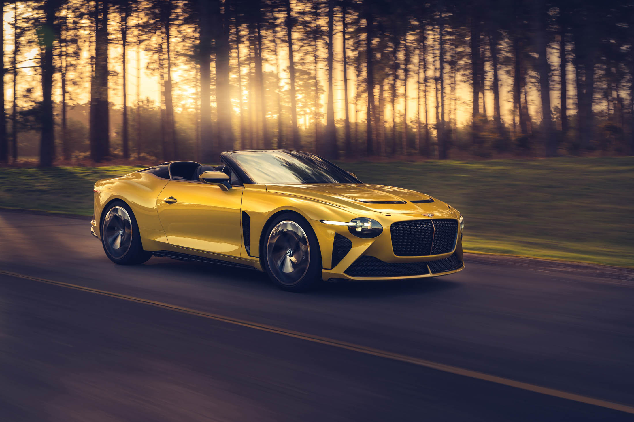 luggage straps bentley