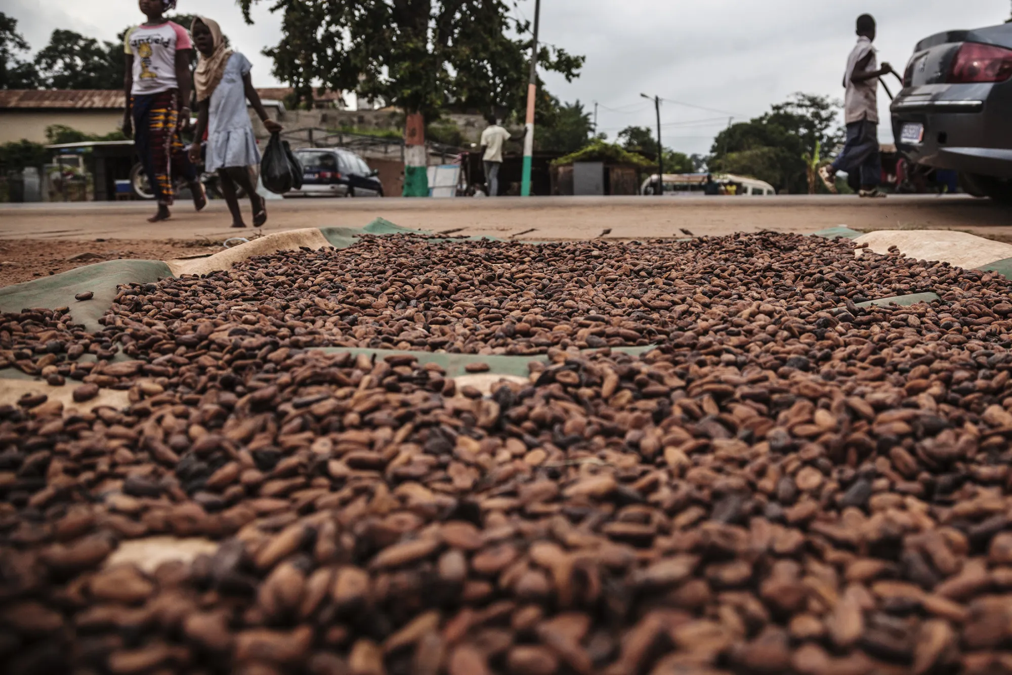 Cocoa seeds sit on mats to dry on a roadside in Agboville, Ivory Coast, on Sept. 1, 2015.
