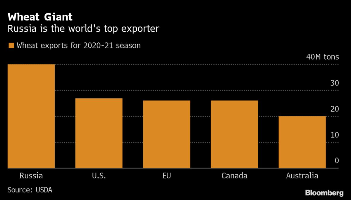 Image showcasing Russia Plans Wheat-Export Tax as Putin Seeks to Cool Prices - Bloomberg