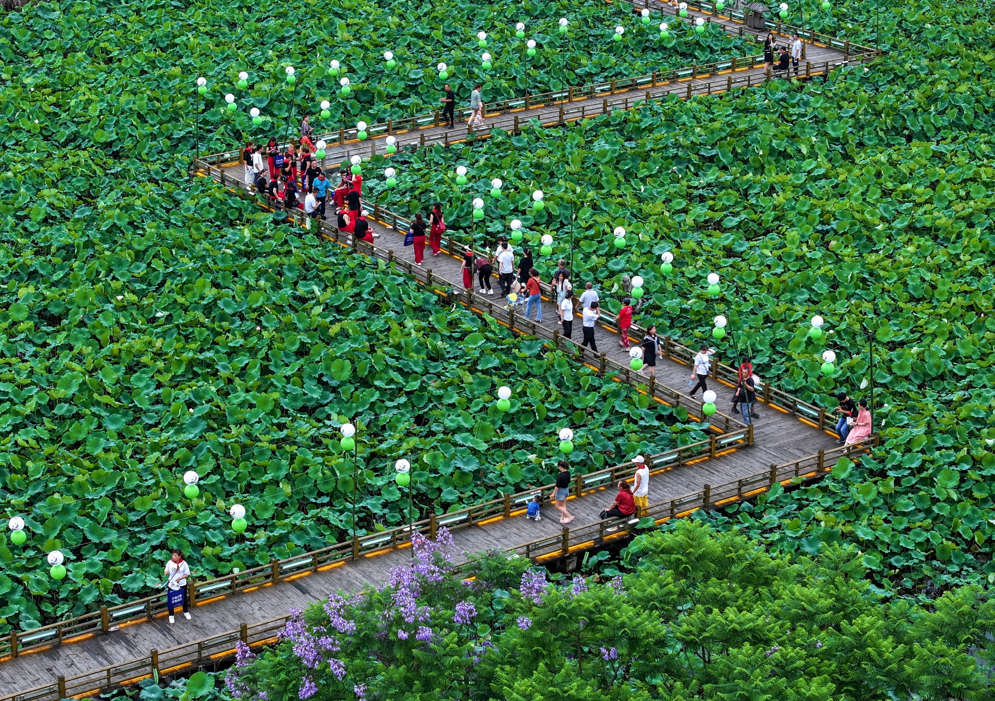 Tourists visit the ecological lotus pond in Huaying city, Sichuan province.