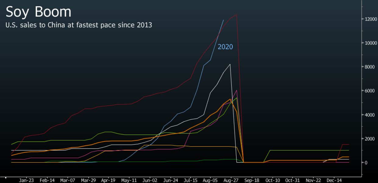 relates to China to Buy Record Amount of American Soybeans in 2020