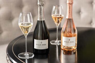 PURSUITS_WEB_WILD IDOL