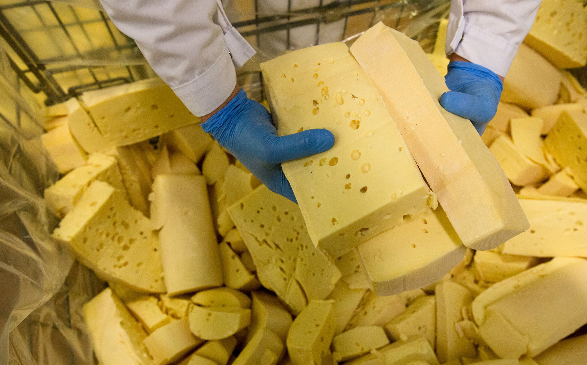 A worker separates lumps of Viola cheese before processing on the production line at the Valio Oy cheese manufacturing plant in Yershovo, Russia, on Dec. 8, 2015
