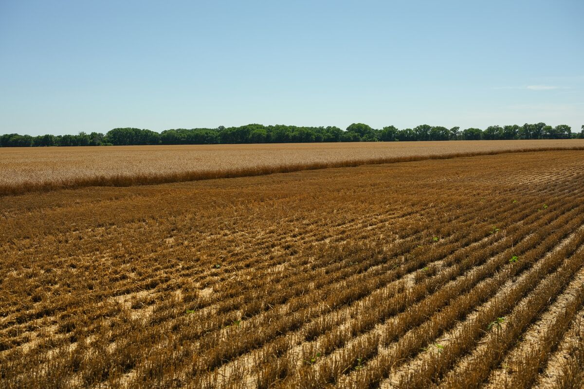 Drought in US Some Farms Are So Dry the Dirt Is Repelling Fertilizer
