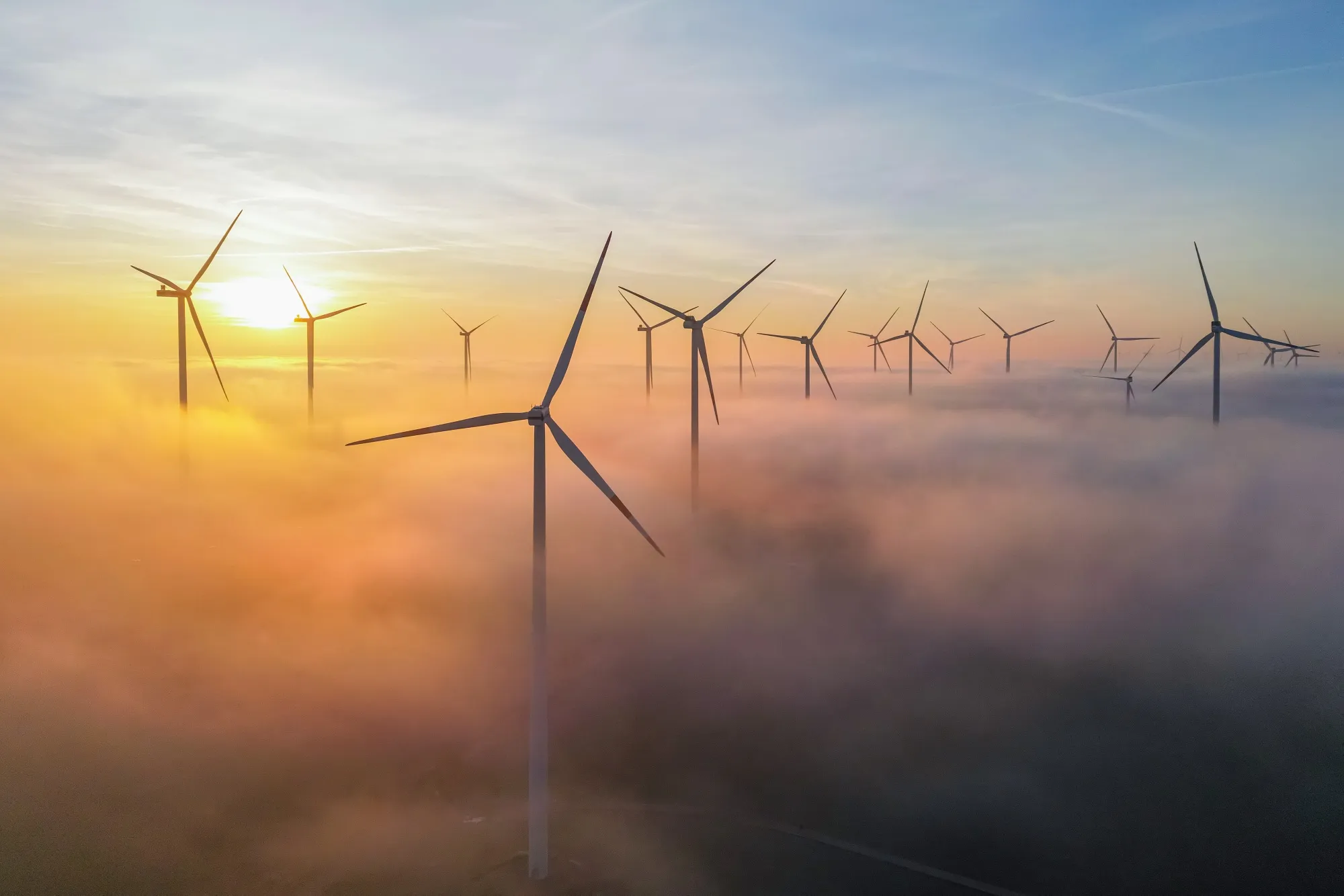 Solar and wind grew fast enough to meet all new electricity demand globally in the first three quarters of 2025, according to UK-based energy think tank Ember.