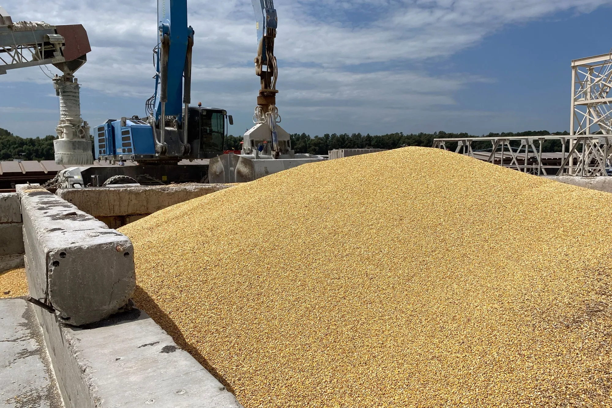 A heap of maize grain at Izmail Sea Port, Odesa, Ukraine.