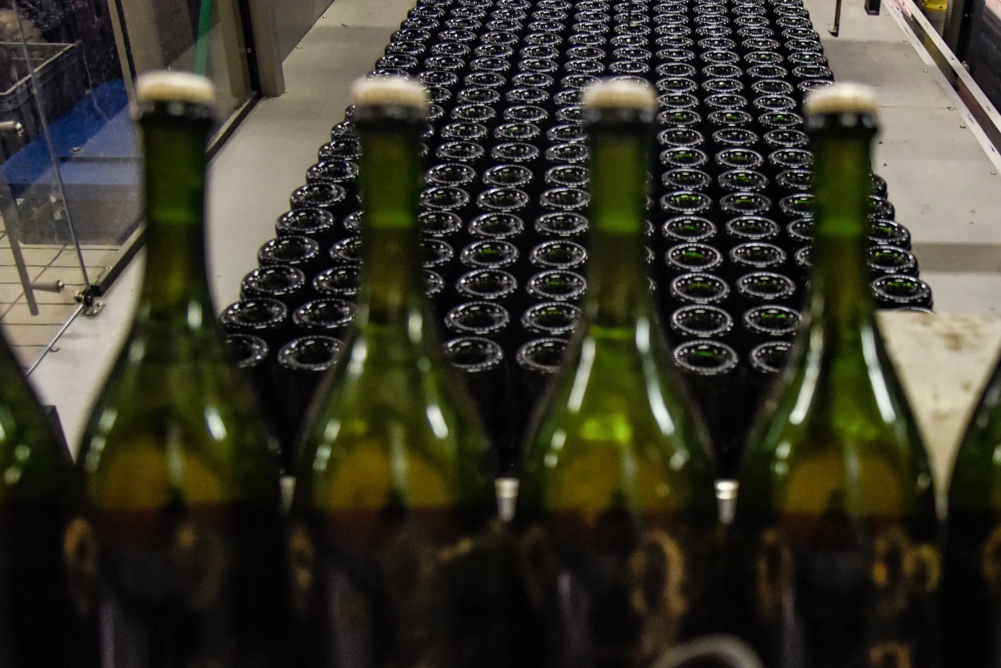 Bottles of cava wine ready for labeling on a production line near Barcelona.