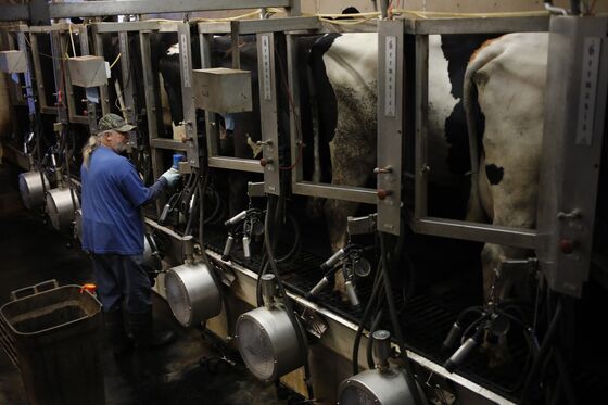 Cheese and Butter Futures Soar With Omicron Hitting Dairy Plants