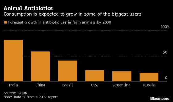 Covid Alerts Investors to Farming’s Antibiotics Risk, Group Says