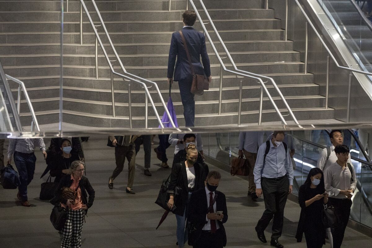 Australian Jobs Gains Show Economy Is Absorbing RBA Rate Shock