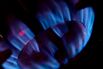 Britain is especially sensitive to gas supply interruptions as storage facilities that normally bolster supplies in cold periods are closed.