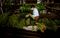 A worker arranges tobacco leaves in a warehouse at the Alejandro Robaina tobacco plantation.