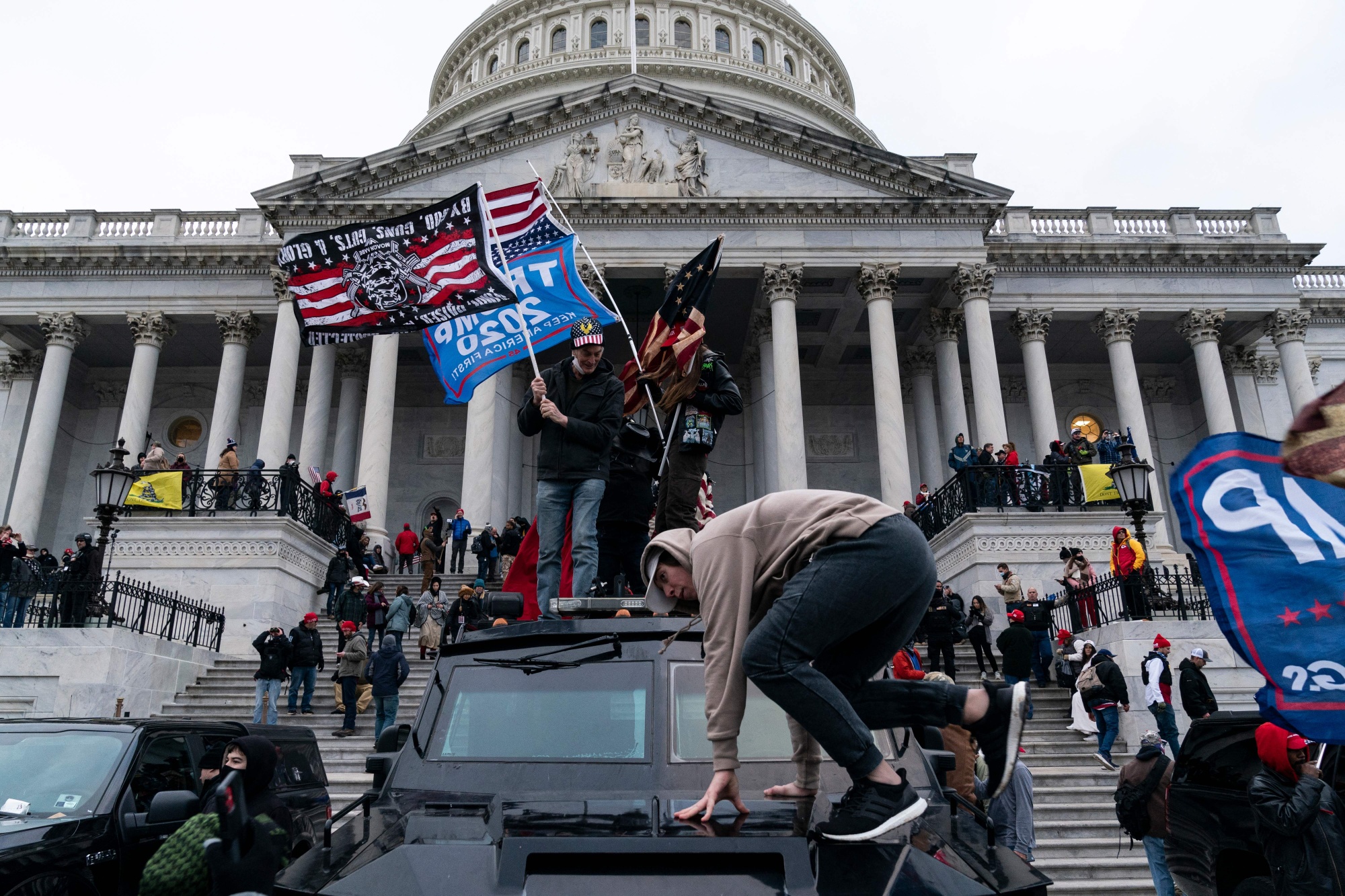 When rooks run riot, Environment