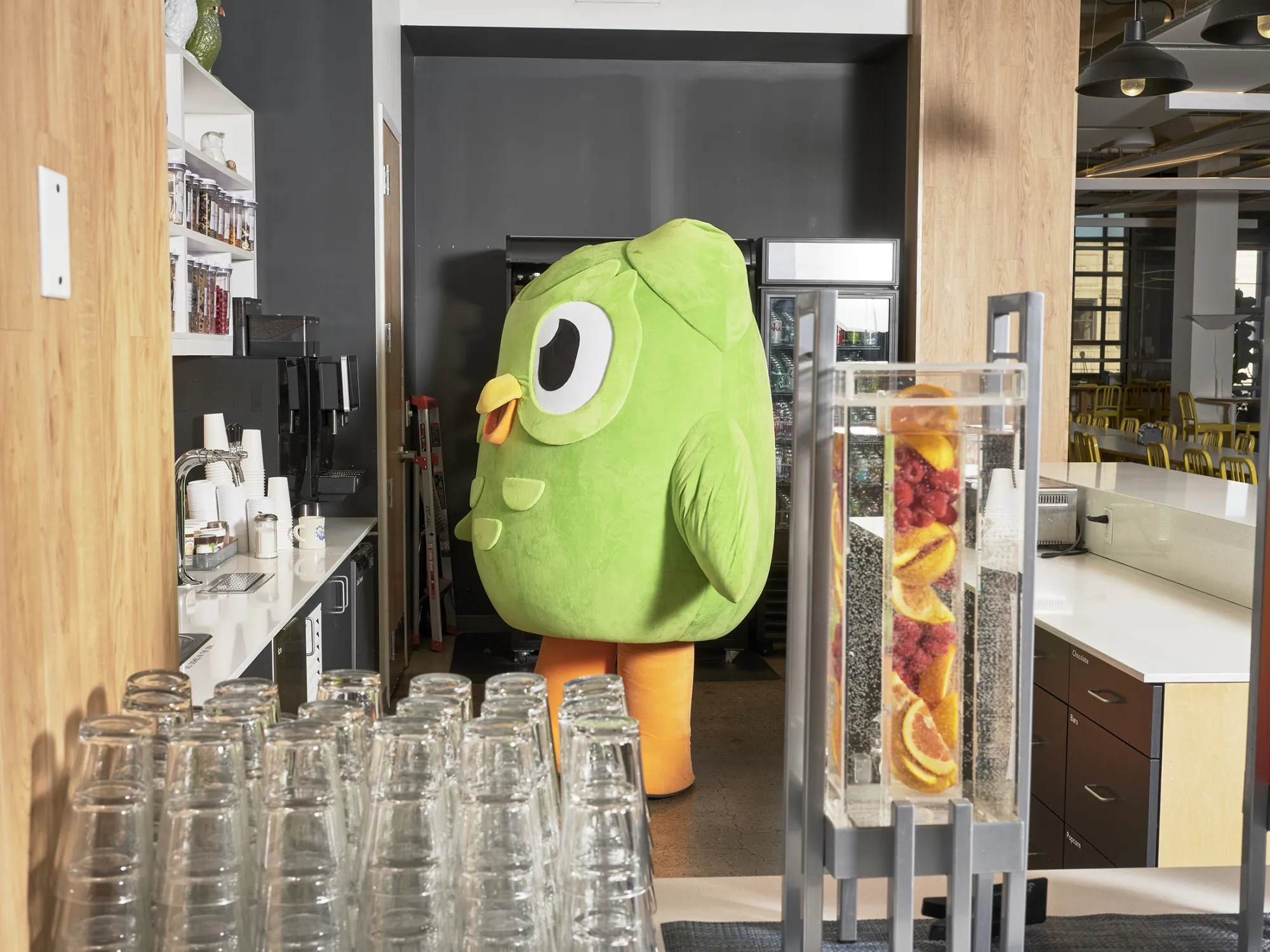 How Duolingo Gamified Language - Bloomberg