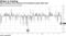 Worst outflows since February hit investment-grade debt fund