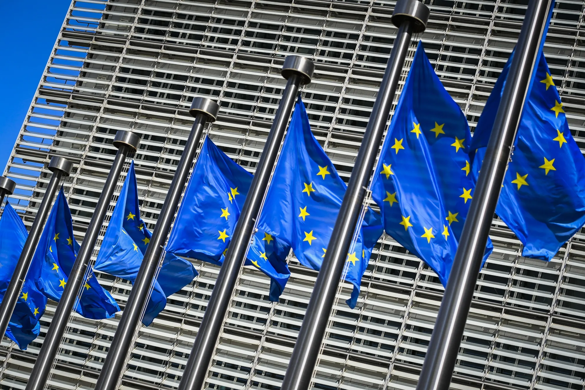 ILLUSTRATIONS EU BERLAYMONT FLAGS