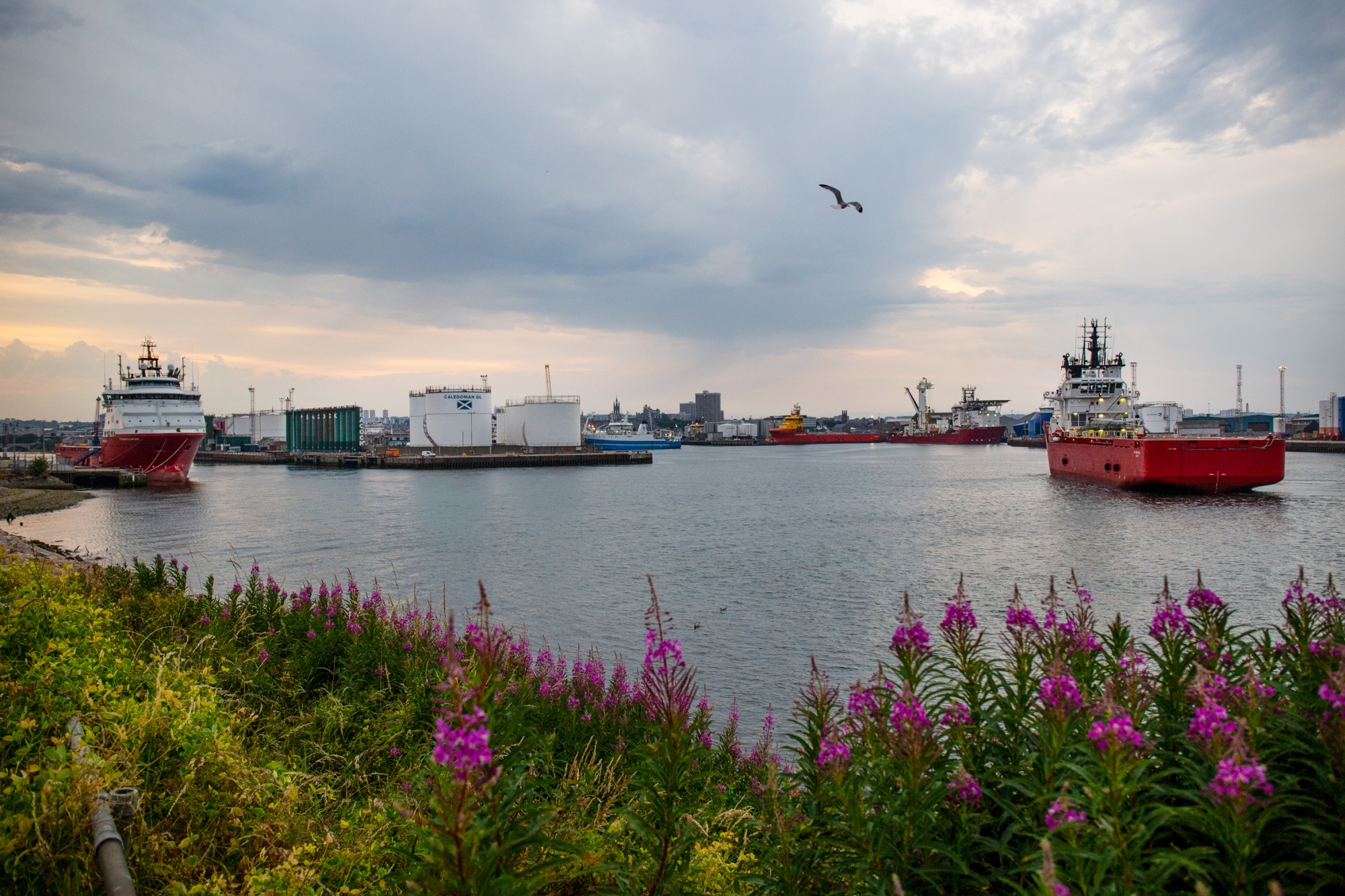 Offshore supply ships at the Port of Aberdeen sea port in Aberdeen, UK.