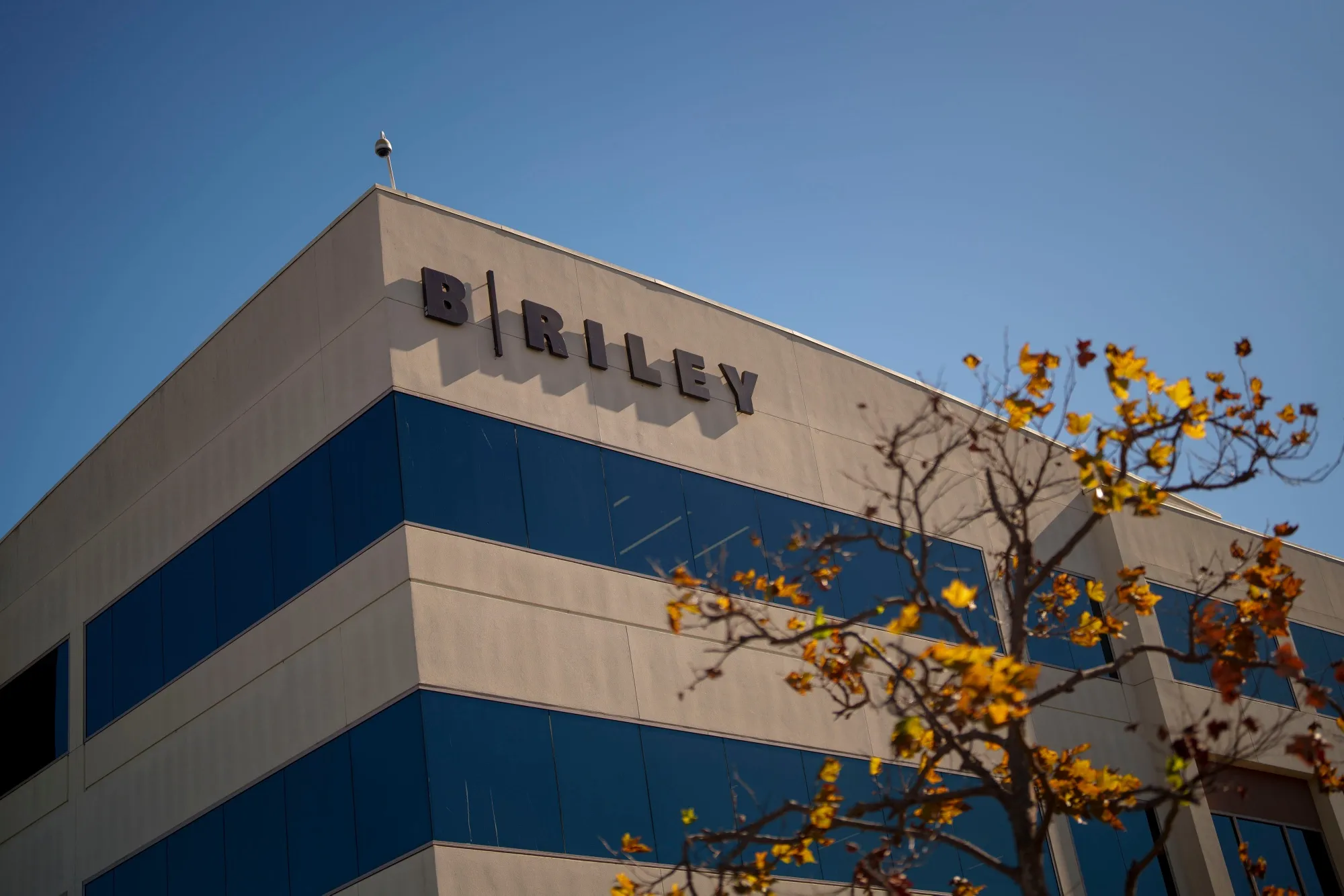 Shares in the company soared as much as 33% in New York.