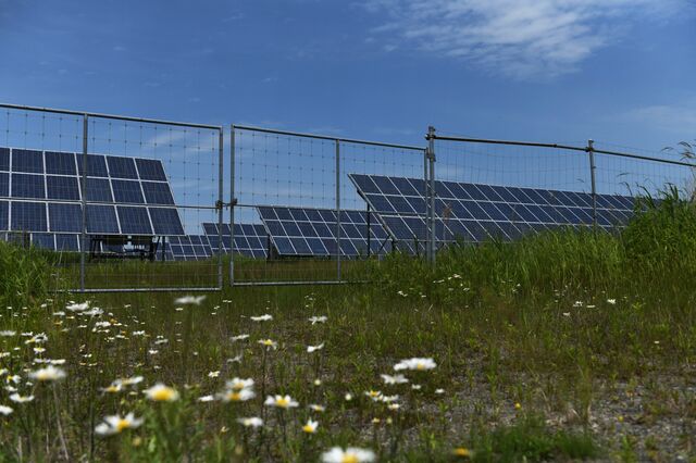 Solar panels around the wetland in Kushiro, Hokkaido, Japan, on Saturday, July 8, 2023. Photographer: Noriko Hayashi/Bloomberg