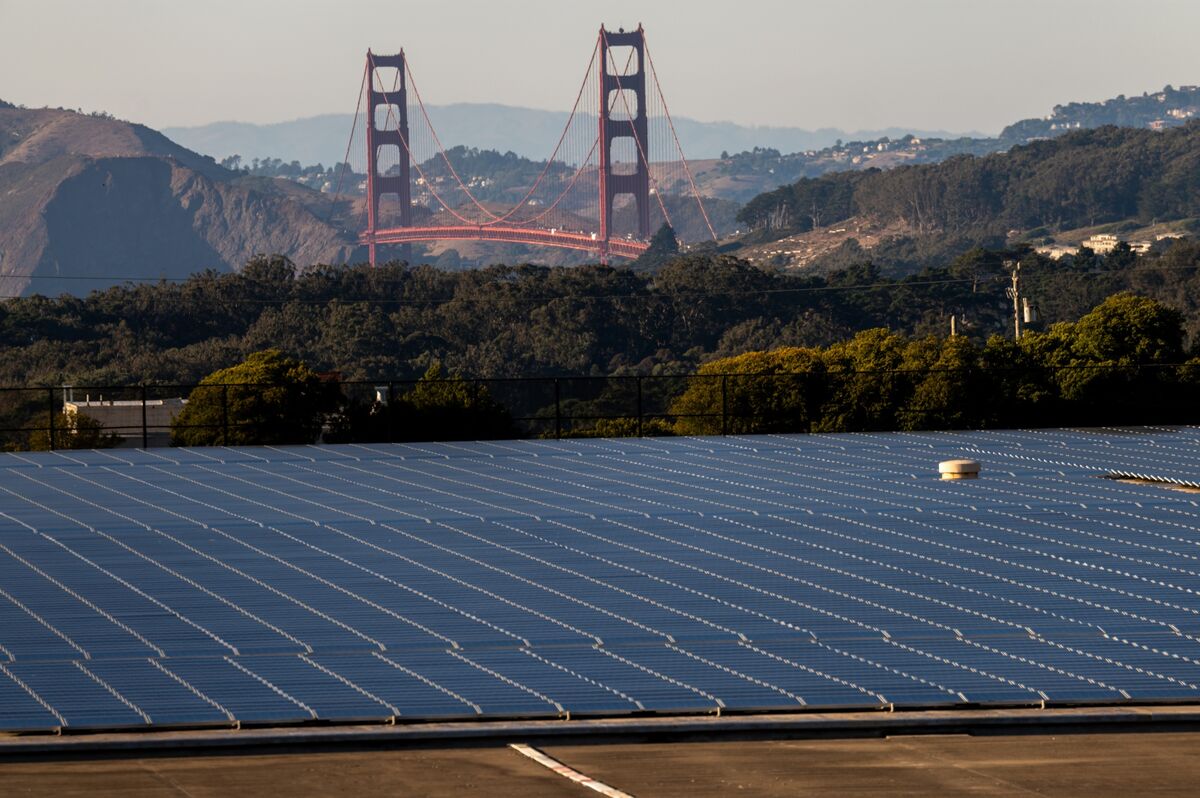Solar Makers Battered by Trump’s Policies Are Ready to Counterpunch