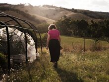 McGowan is calling for better emergency preparedness, including air filters and more information for pregnant women.