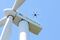 An Arborea Intellbird SL Drone
