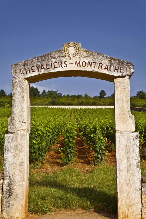 Stone pillars mark the Chevalier-Montrachet vineyard, one of Burgundy's five grand crus for chardonnay.