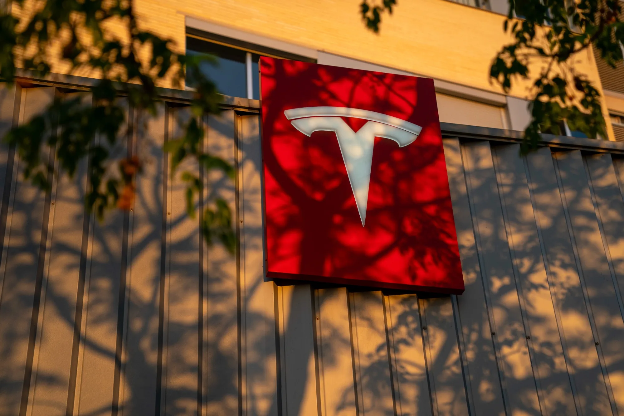 What's Next for Tesla's Stock After Trump-Musk Fight? Wall Street  Predictions - Bloomberg