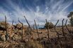 Scenes from the border in Nogales, Ariz. West of the city, the border fencing ends, and this barbed wire,&nbsp;on Dan Bell’s ranch, is the international boundary.