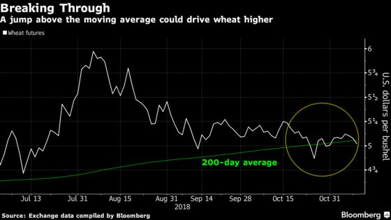 Nasty Weather Means Kansas Farmers Stop Planting Winter Wheat