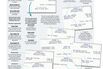 The Price of Winning at the Supreme Court