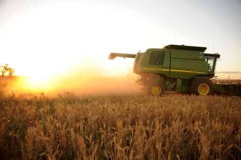 Wheat Harvest in Australia Seen Slumping to Lowest in Five Years