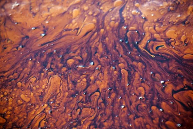Crude oil released following the sinking of the BP Deepwater Horizon drilling rig