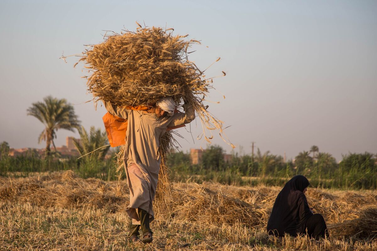 Falling Food Prices Won't End the World's Hunger Problem - Bloomberg