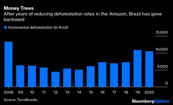 Brazil’s Top Court Can Stop Bolsonaro’s Unjust Land Grab